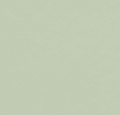 Линолеум Forbo Furniture Linoleum 4183 pistachio фото 1 | FLOORDEALER